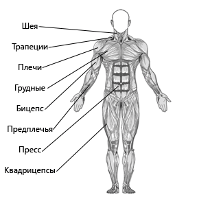 карта