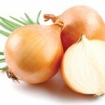 Лук репчатый