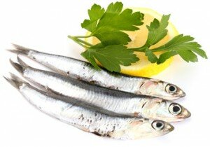 anchoys